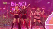 k-pop rose GIF