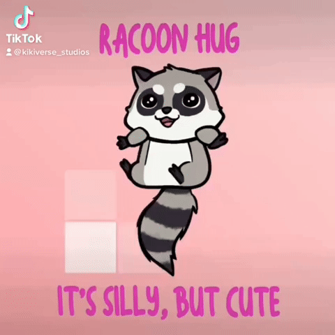 Racoon Hug