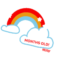 nubyusa rainbow baby months nuby Sticker