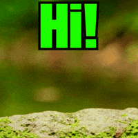 How Are You Hello GIF