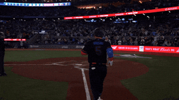 Home Run Baseball GIF by Toronto Blue Jays