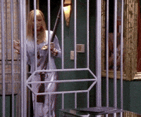 Season 6 Episode 623 GIF by Friends