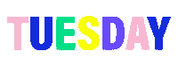 Tuesday Sticker by Hello Caveat