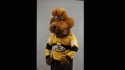 BdnWheatKings kings brandon willie wheat GIF