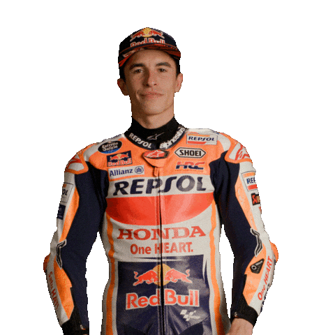 Honda Love Sticker by MotoGP