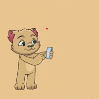 GIF by Kabu