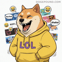 Happy Shiba Inu GIF by Doge Pound