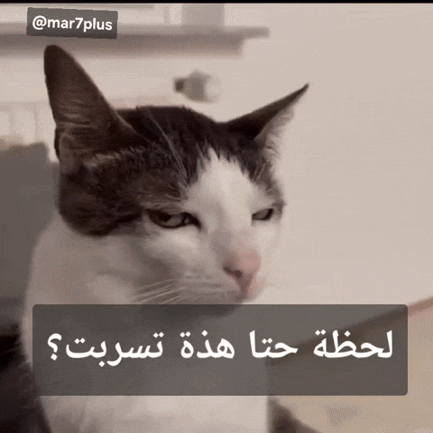 شاك فيك GIF