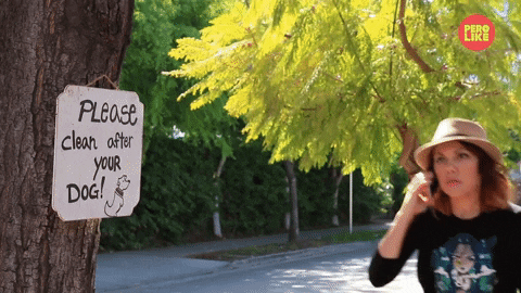 Pero Like GIF by BuzzFeed