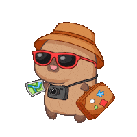 Summer Traveling Sticker