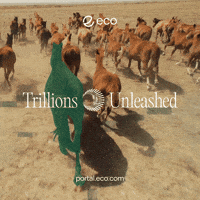 To The Moon Crypto GIF by Eco