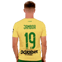 Football Sticker by Nike liga