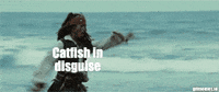 Pirates Of The Caribbean Humor GIF by DEFEND Nonprofit
