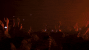 kid cudi concert GIF by Dream But Don't Sleep