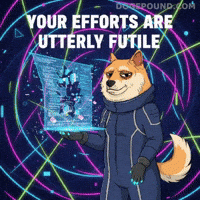 Shiba Inu Code GIF by Doge Pound
