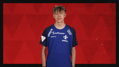 Sv Darmstadt 98 Applause GIF by Bundesliga