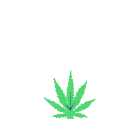 Flower Grow Sticker by EAZE