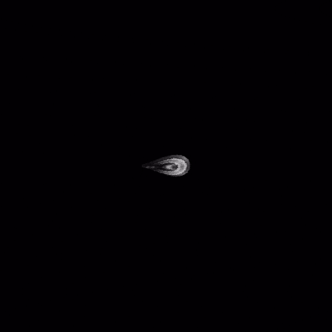 Black And White Life GIF by roberthruska