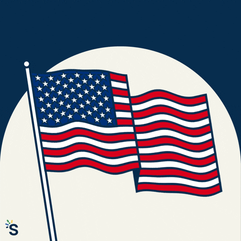 Celebrating Independence Day GIF by Snap Finance