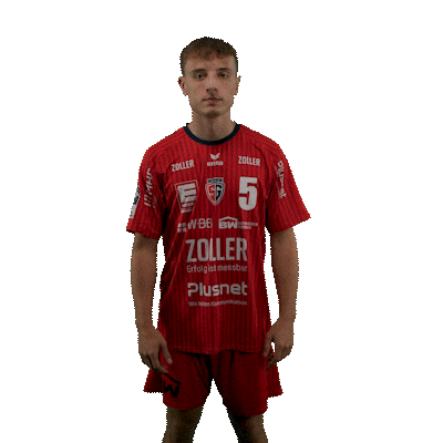 Handball Sticker by DAIKIN HBL