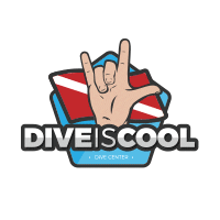 diveiscool cool water dive dive is cool Sticker