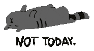 Tired Black Cat Sticker by melide