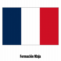 France Flag GIF by Formación Ninja