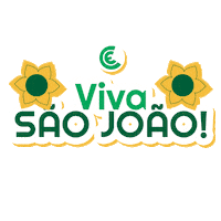 colegioextensivo escola educacao colegio sao joao Sticker