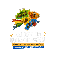 Sao Joao Arraia Sticker by Colégio Extensivo