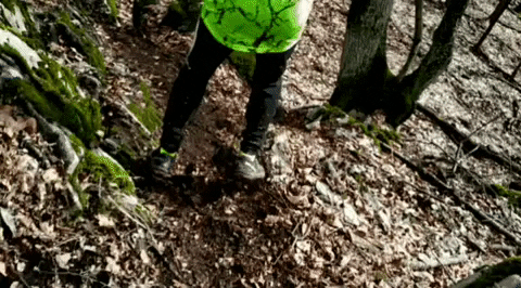 Kiazmus nature trailrunning GIF