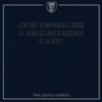 GIF by Club Melilla Baloncesto