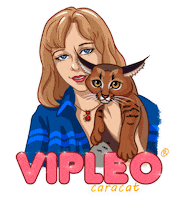 VIPLEO cat котенок cattery питомец Sticker