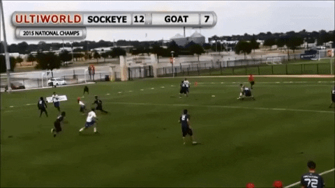 flikulti ultimate frisbee flik GIF