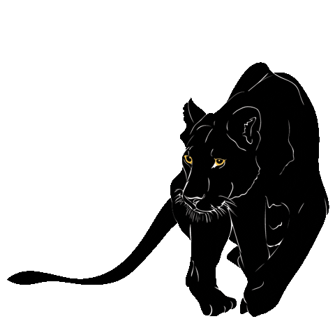 doffaycollection cat fashion luxury jaguar Sticker