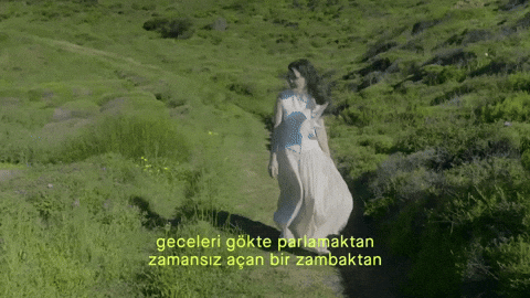 Nil GIF by hubcollage