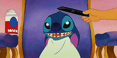 dog GIF