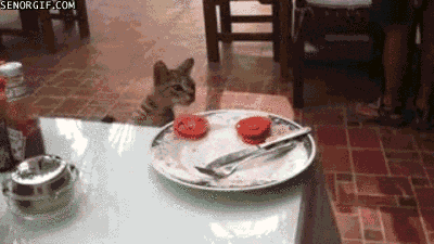 cat thief GIF by Cheezburger