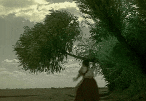Film Run GIF