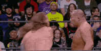 Chris Jericho Wrestling GIF by AEWonTV