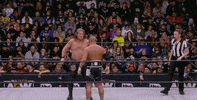 Chris Jericho Wrestling GIF by AEWonTV