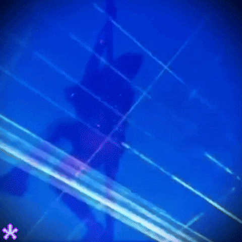 Lisa Coachella GIF