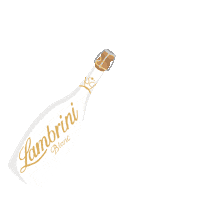 Lambrini party girls night weekend Sticker