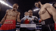 toprank fight boxing fighting espn GIF