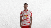 Angry Champions League GIF by RB Leipzig