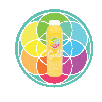 kaleidoscope-love happy kaleidoscope az gilbert Sticker