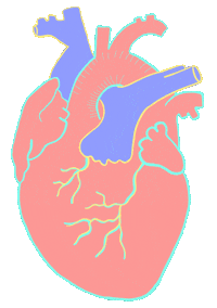 Heart Love Sticker