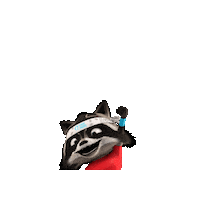 Bandido Sticker by Tennisenpadelvlaanderen