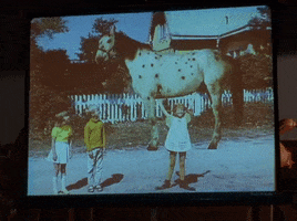 season 5 netflix GIF by Gilmore Girls 