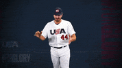 Pro GIF by USA Baseball