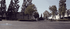 GIF by Giffffr